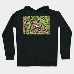 Butterfly On Pink Flowers Hoodie